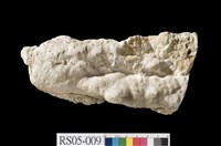 藏品(鐘乳石)的圖片